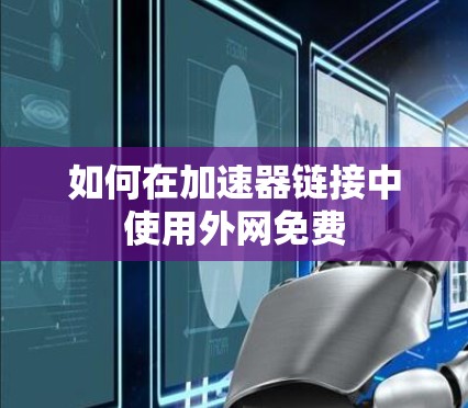 如何在加速器链接中使用外网免费