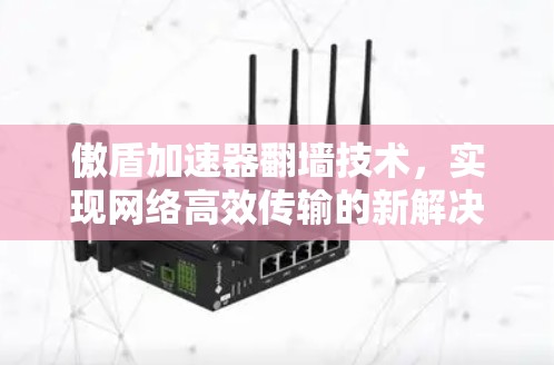 傲盾加速器翻墙技术，实现网络高效传输的新解决方案