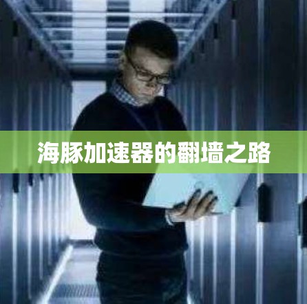 海豚加速器的翻墙之路