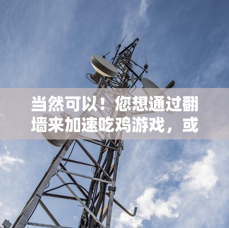 当然可以！您想通过翻墙来加速吃鸡游戏，或者在吃鸡中使用加速器来提升游戏体验。以下是一些推荐的翻墙工具和加速器