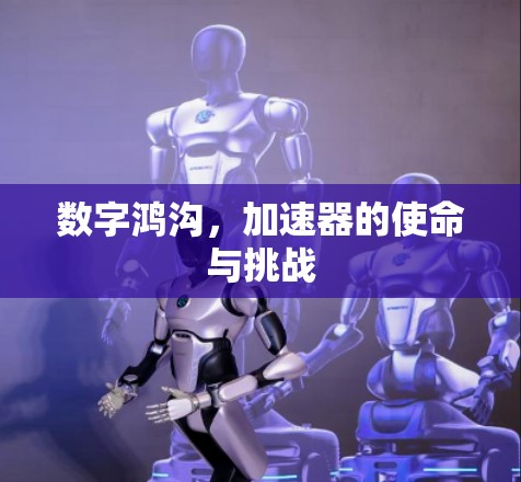数字鸿沟，加速器的使命与挑战