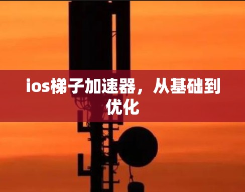 ios梯子加速器，从基础到优化