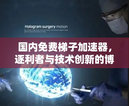 国内免费梯子加速器，逐利者与技术创新的博弈