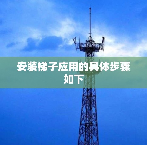安装梯子应用的具体步骤如下