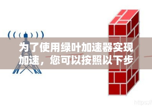 为了使用绿叶加速器实现加速，您可以按照以下步骤操作