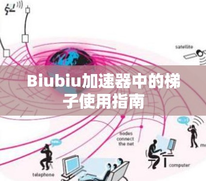 Biubiu加速器中的梯子使用指南