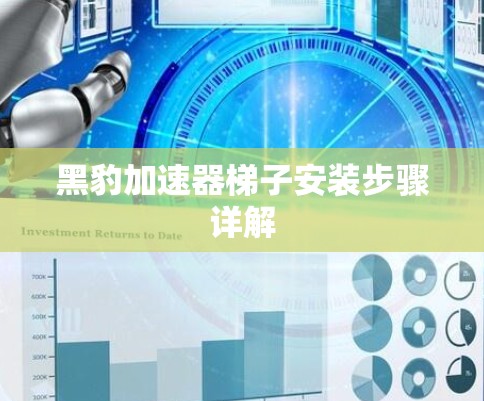 黑豹加速器梯子安装步骤详解
