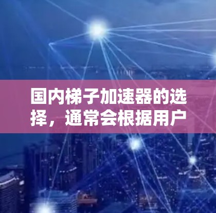 国内梯子加速器的选择，通常会根据用户的需求、使用场景以及预算来决定。以下是一些国内知名的梯子加速器品牌，供参考