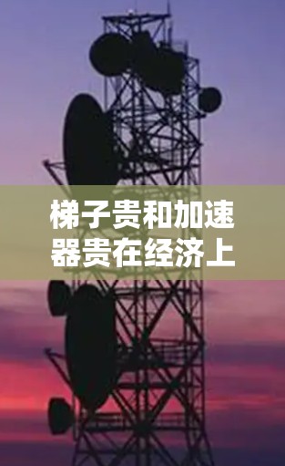 梯子贵和加速器贵在经济上是完全不相关的，或者说它们的价格可能在经济上是完全独立的。以下是详细的解释