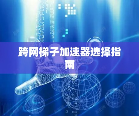 跨网梯子加速器选择指南