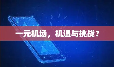 一元机场，机遇与挑战？