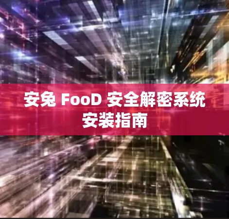 安兔 FooD 安全解密系统安装指南