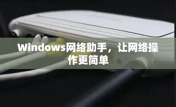 Windows网络助手，让网络操作更简单