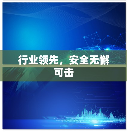 行业领先,安全无懈可击 行业领先,安全无懈可击