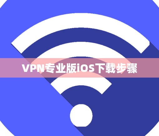 VPN专业版iOS下载步骤