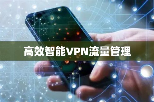 高效智能VPN流量管理