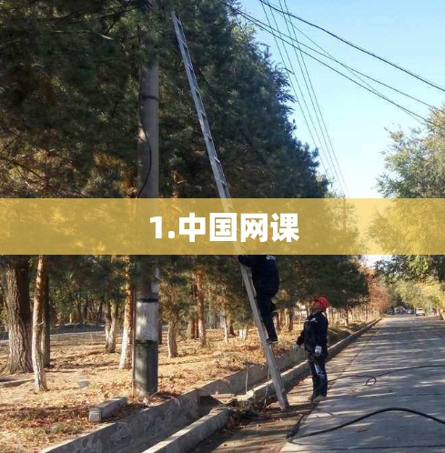 1.中国网课