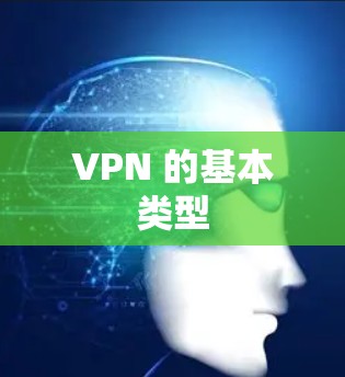 VPN 的基本类型