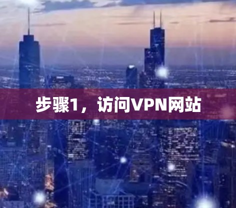 步骤1，访问VPN网站