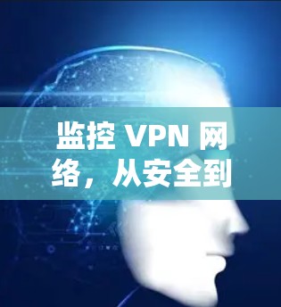 监控 VPN 网络，从安全到漏洞管理