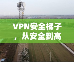VPN安全梯子,从安全到高效,你该如何选择? VPN安全梯子,从安全到高效,你该如何选择?
