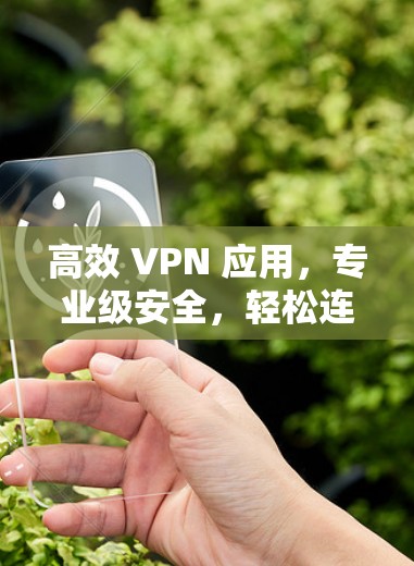 高效 VPN 应用，专业级安全，轻松连接世界
