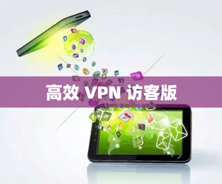 高效 VPN 访客版