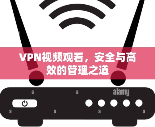 VPN视频观看，安全与高效的管理之道