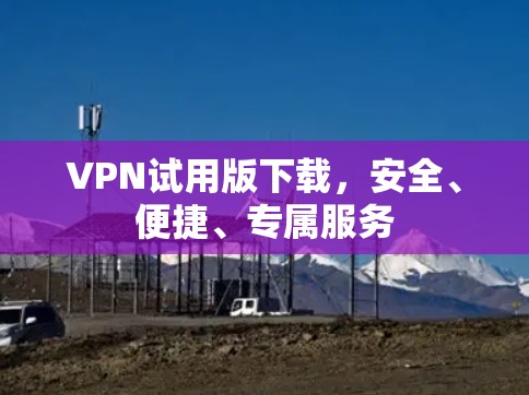 VPN试用版下载，安全、便捷、专属服务