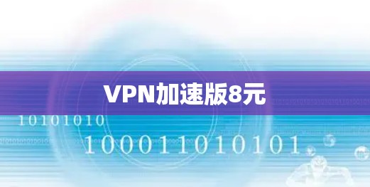 VPN加速版8元