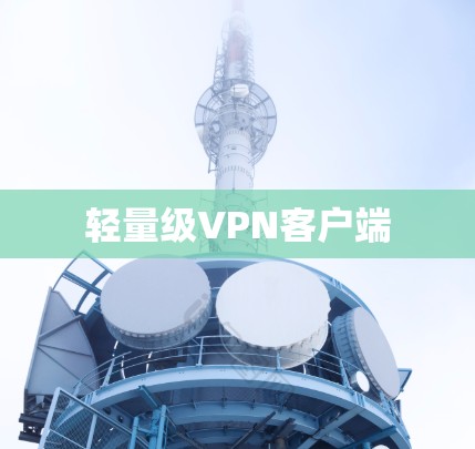 轻量级VPN客户端
