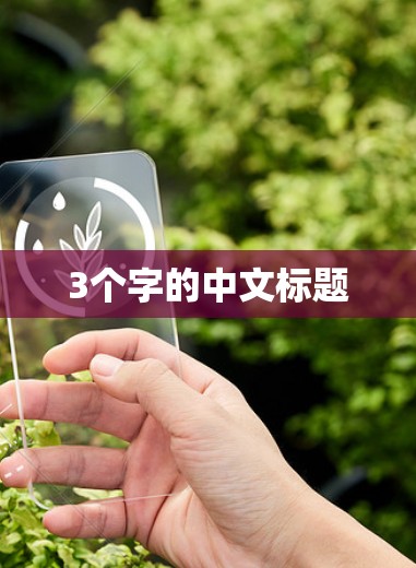 3个字的中文标题